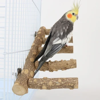 Подставка для птиц из натурального дерева Попугай Жердь Вилка для заточки лап Попугай Лазающий по приставной лестнице Игрушки Птичья клетка Аксессуары для домашних животных